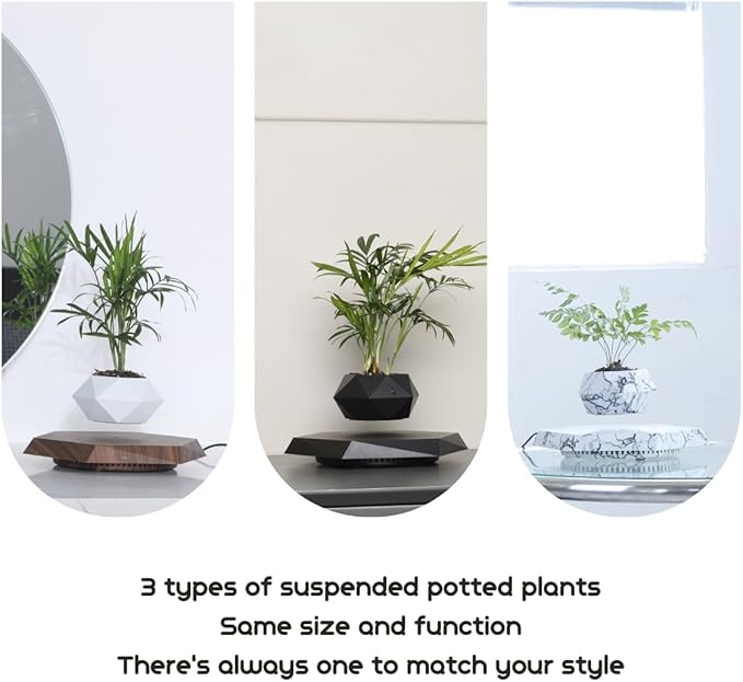MOOCCI Levitating Plant Pot Floating Plant Potted Plant, Air Bonsai and Artificial Plants, Home Office Desk Decor, Gift for Easter, Mother's, Father's Day（Black