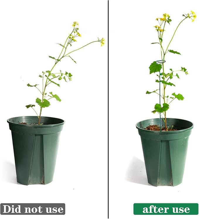 PFNRTH 4 Pack Plant Stakes,Plant Support Stakes for Two Sizes(16 or 32 Inches),Plant Stakes for Outdoor Plants,Garden Flower,Tomato(Green)