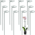 12 Pack Plant Support Stakes, 22 Inch Tall Metal Plant Stakes, Garden Plant Support Stake for Outdoor Indoor Plants, Flower Stake for Lilies, Dahlias, Sunflowers, Tomato, Amaryllis, Peony, Orchid