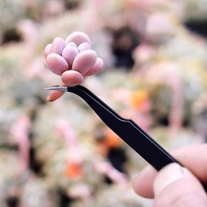 Succulent Tools Set,Plant repotting kit,repotting kit,Succulent Tools,Indoor Plant Tools,Succulent Tool kit,houseplant Tools,Plant Care kit,Indoor Plant Care kit, (Set of 13 a)