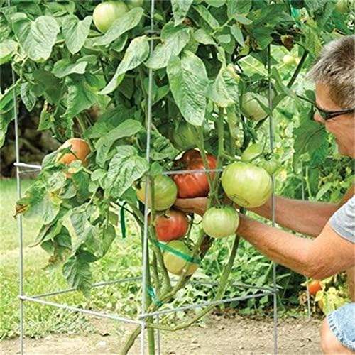 46" Height 12" Width 2PCS Galvanized Square Folding Tomato Cage,Plant Support Stake Tower