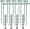 SUNYAY 10 pcs 8 inch Metal Single Stem Flower Plant Support Stakes and Rings for Amaryllis Orchid Lily Sunflower Rose Narcissus