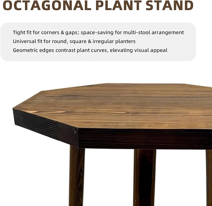 Plant Stand for Indoor Outdoor, 12x12in Large Octagon Wooden Plant Stand, Mid Century Modern Boho Stool for 5-15 Inch Pots, Sturdy Planter Stands