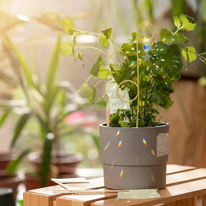 Small Trellis for Potted Plants Indoor with Crystal Sun Catcher, 4Pack Golden Metal Plant Stake for Home Window Garden, Plant Accessories Indoor Decoration (13inch)