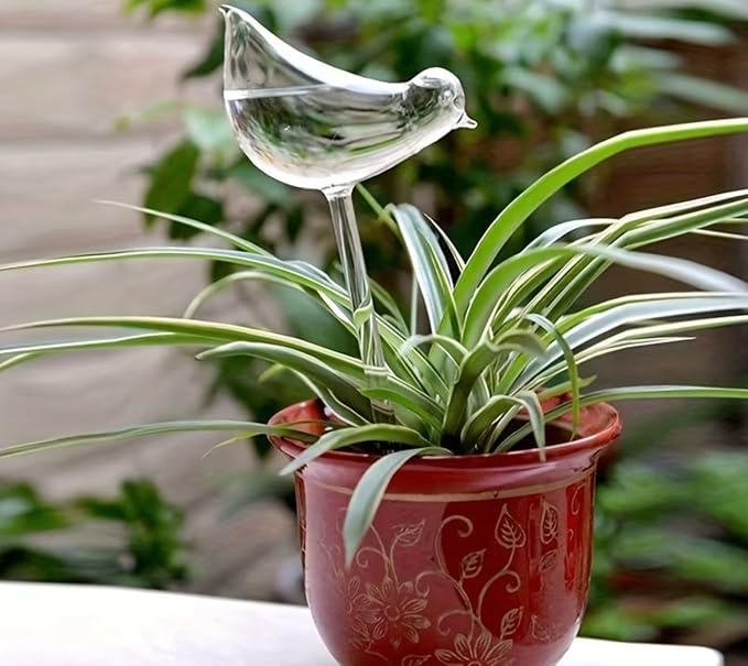 Glass Bird Shaped Plant Watering Globes, Clear, 9.84 Inches, Automatic Self Watering Bulbs for Indoor and Outdoor Plants, 3 Pack