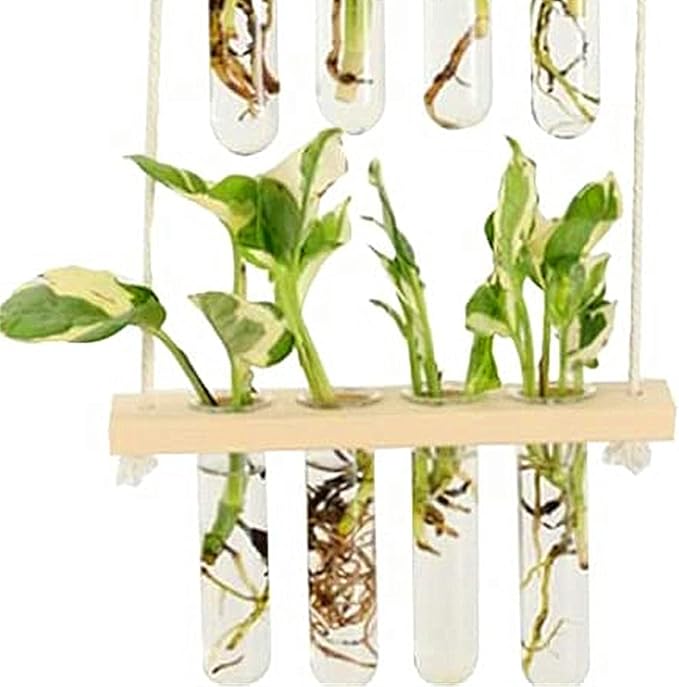 Wall Hanging Planter, 2 Tiered Plant Propagation Stations Plant Terrarium with Wooden Stand, Glass Planter Test Tube Vase for Propagating Hydroponic Plants Home Office Garden Decor (Wood Color)