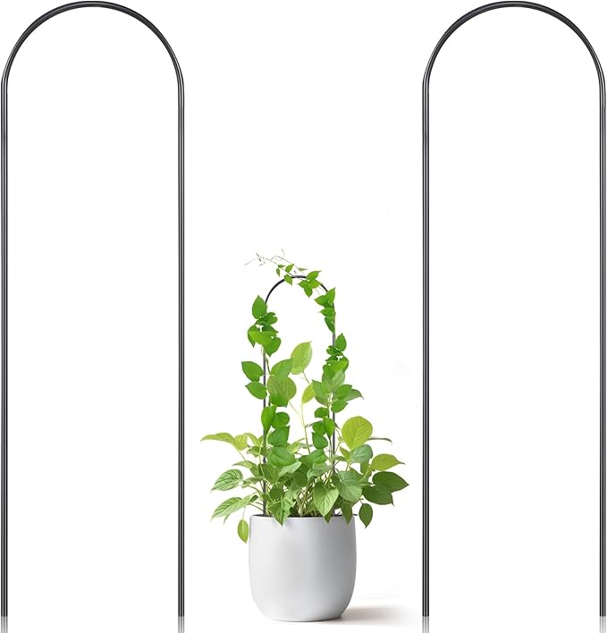Oruola 2 Pack Hoya Trellis, Plant Trellis for Pots,U-Shaped Small Trellis for Potted Plants,13.4 Inch Metal Indoor Plant Trellis for Potted Plants for Vine Ivy Hoya Monstera,Indoor Outdoor Use, Black