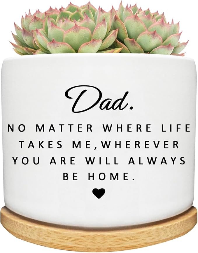 Succulent Planter Pot for Dad - Cute 3 Inch Plant Dad Gift from Daughter or Son with Bamboo Tray, Best Fathers Day Birthday Gardening Gifts for Dad, Grandpa, Husband