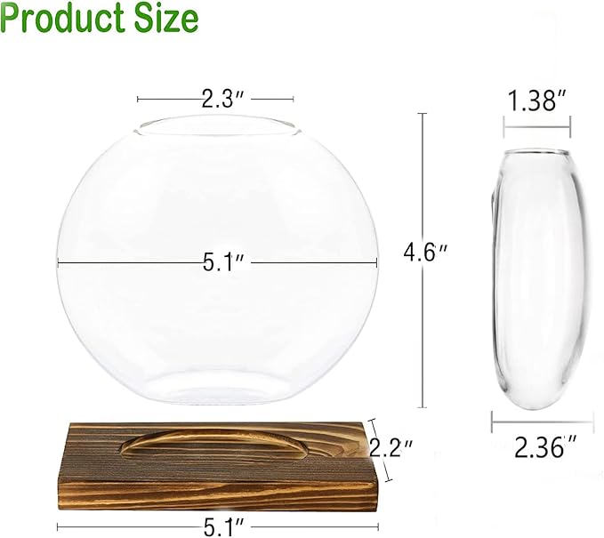 Kingbuy Round Glass Desktop Planter with Wooden Stand - Propagation Vase for Hydroponic Plants, Spider Plants, Pothos in Home Office Decor, 2-Pack, Beige