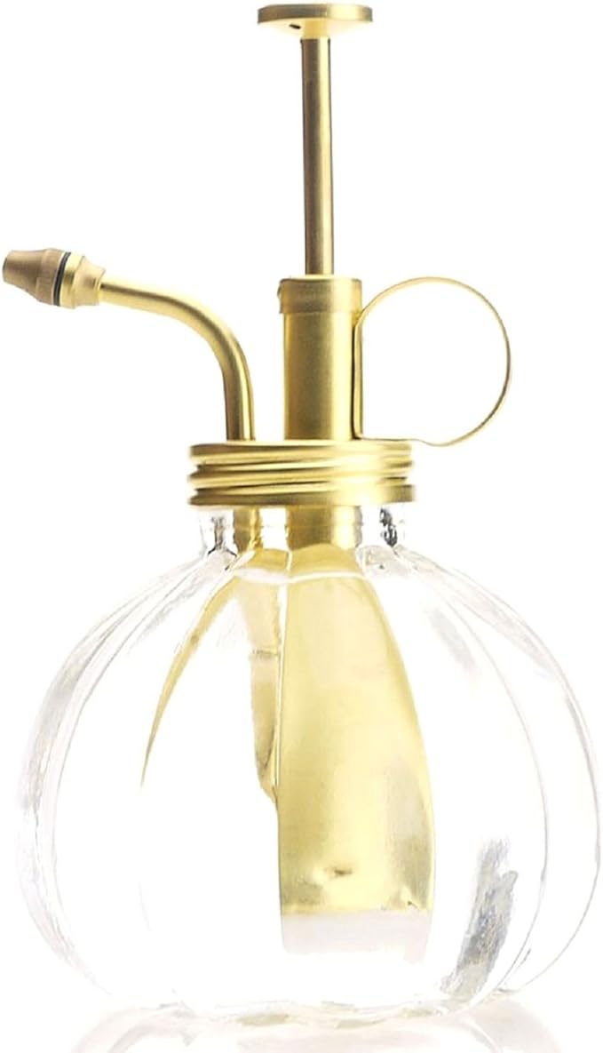 Plant Mister- Clear Color Glass Bottle & Brass Sprayer (Matt Gold)