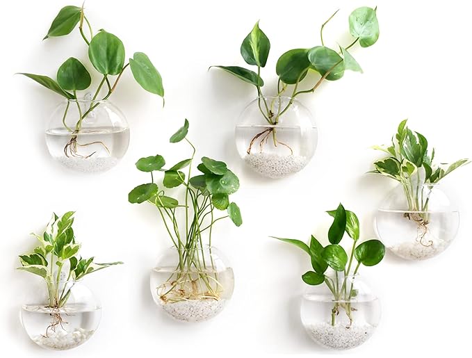 Mkono Wall Hanging Glass Terrariums Planter Oblate Flower Vase for Hydroponics Plants, Bathroom, Home Office Living Room Decor, Set of 6(Plants not Included)