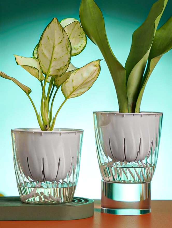 2 Pack 6 Inch Self Watering Pots for Indoor Plants, Self Watering Planter with Reservoir and Wick Rope, Clear Flower Plant Pots for African Violets,Succulents,Herbs,Cactus,Orchids