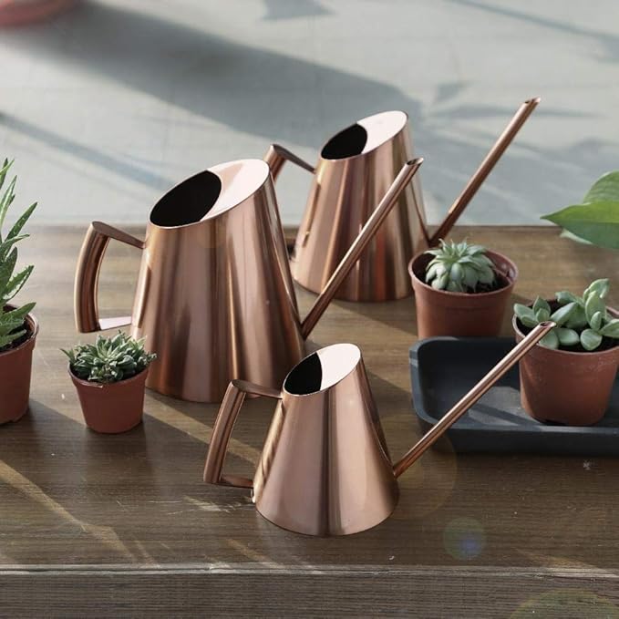 Household Bonsai Stainless Steel Watering Can, Mini Brushed Indoor House Plants Long Spout Watering Can Modern Watering Pot, Rose Gold(L)