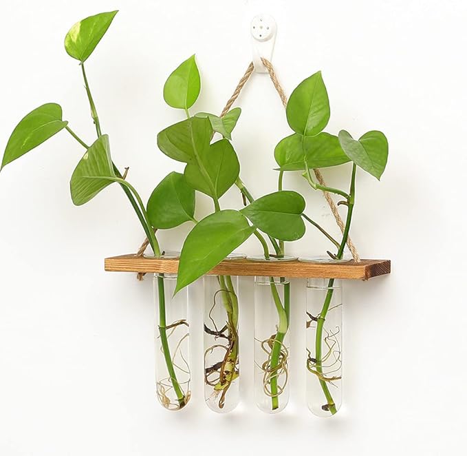 Wall Hanging Planter Terrarium with Wooden Stand, Mini Test Tube Flower Vases Retro Hanging Glass Planter Propagator for Hydroponic Plants Cutting Home Decor, 4 Propagation Tubes