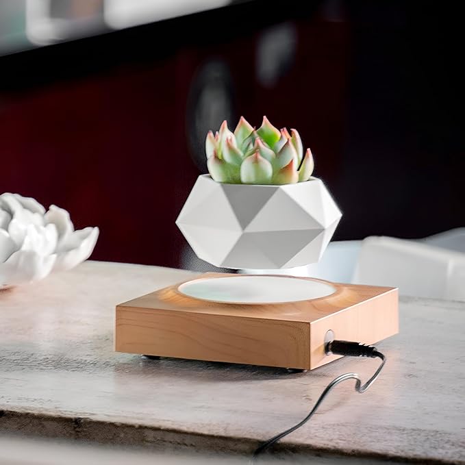 HCNT Levitation Air Bonsai Pot, Magnetic Levitating Mini Rotating Flower Pot Planters Suspension Floating Succulents Pot Sky-Garden Plant Potted for Home, Office