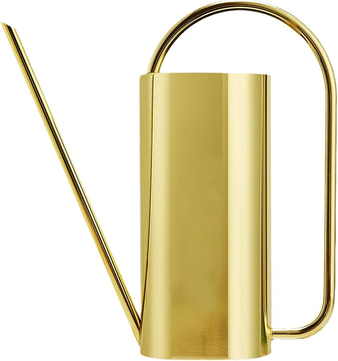 Watering Can Outdoor, 50 oz/1.5L Watering Can with Long Spout and Handle, Stainless Steel Garden Watering Pot for Outdoor and Indoor Plants