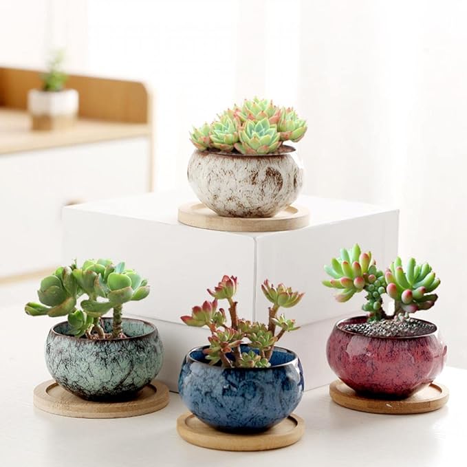 YYW Ceramic Plants Pots 3 Inch Set of 4 Flower Pots with Drainage and Bamboo Tray for Indoor/Outdoor Small House Plants,Foliage Plant (Set 1)
