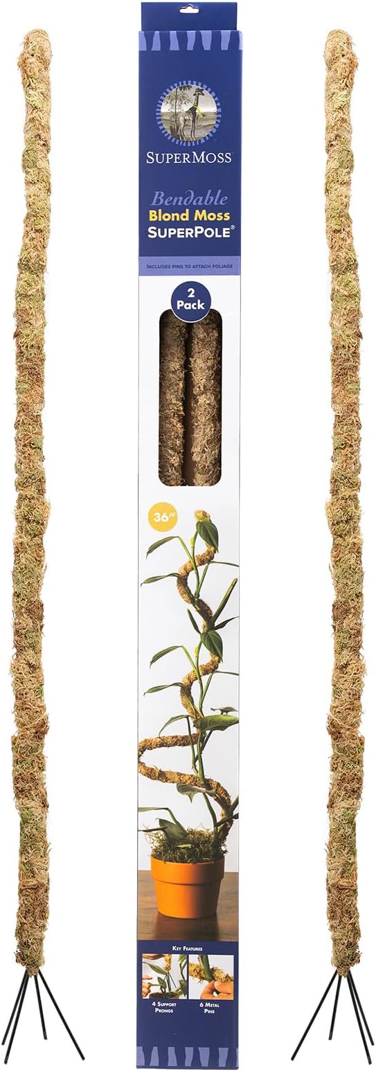SuperMoss (22064) Bendable Moss Poles, Monstera Climbing Plant Support Stakes, 36", Blonde, 2pk