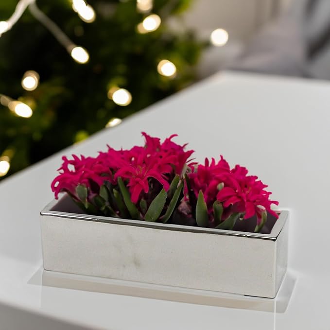 WGVI Long Rectangle Ceramic Planter Vase in Silver 14" x 4" x 4"H, Rectangular Box Block Terrarium Pot, Flower Arrangement, Tabletop Centerpiece, Home Decor Organization Storage Container, 1 Pc.