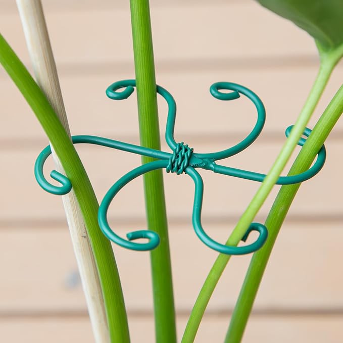 Yohsnor Monstera Plant Stem Support - Set of 5 Sturdy Indoor Support Sticks for Monstera & Climbing Plants - Essential Growth Stabilizers for Leaf Support - Easy-to-Use Gardening Accessories
