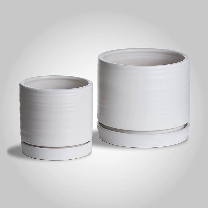 HERDUK 6 + 8 Inch Plant Pots, Ceramic Planter Pot with Drainage Hole & Saucer, Indoor/Outdoor Cylinder Round Planter Pot, Matte White