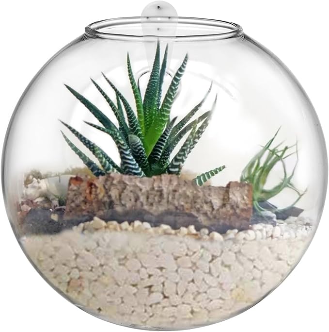 yarlung Set of 6 Wall Hanging Planter Terrarium, Clear Glass Plant Vase Wall Mount for Propagating Hydroponics Plant, Indoor Air Plants, Stylish 6 Shapes (Plants Not Included)