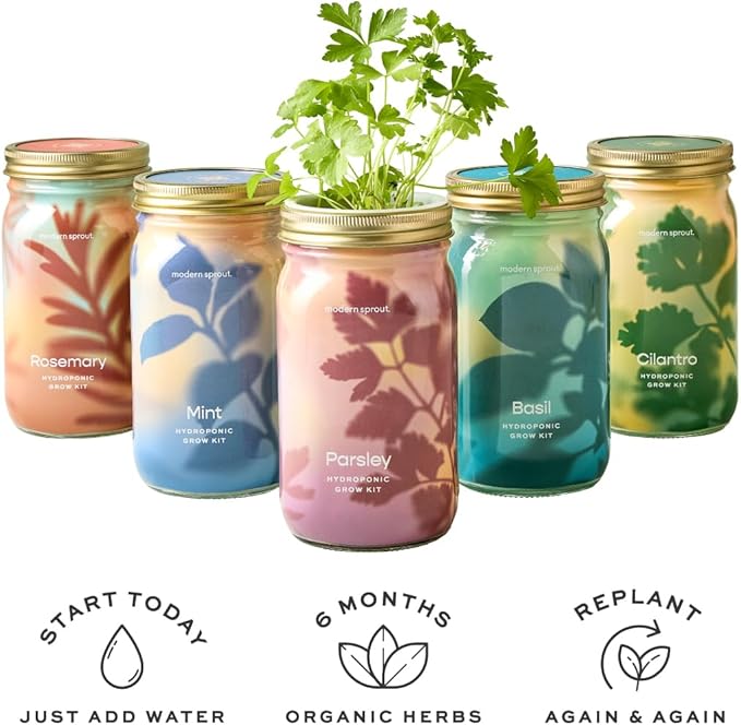 Modern Sprout Mason Garden Jar - Self-Watering Hydroponics Growing System Kit w/Organic Herb Seeds - Sprouting Jar Planter for Indoor Herb Garden -Seed Starter Kit - Home Decor & Gifting - Basil+Mint
