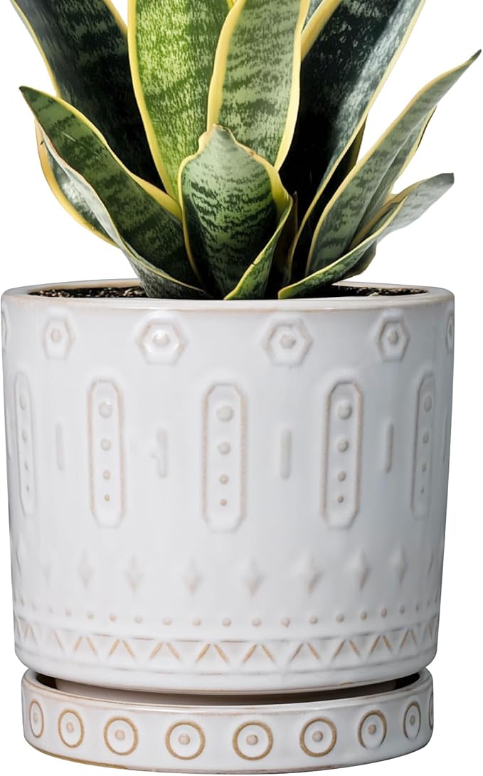 Eightpot Pot for Plants 6 Inch - Ceramic Planter for Indoor Plants Decorative Plant Pot with Drainage Holes and Saucer Outdoor Flower Pot Modern Succulent Pots for Office Desk Decor White