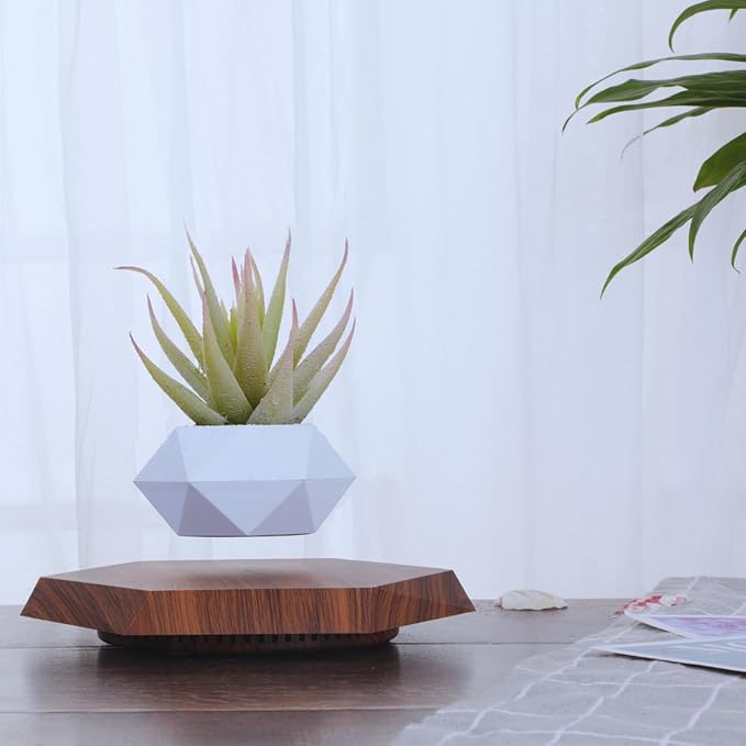 MOOCCI Floating Plant Pot Magnetic Levitating Plant Pot for Succulents, Air Bonsai and Fake Flowers and Plants, Home Office Desk Decor, Gift for Easter, Mother's, Father's Day (Brown)