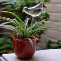 Ochine Plant Waterer Self Watering Globes Self Water Bulbs Devices Automatic Plant Watering Tool Decorative Hand Blown Clear Glass Plant Watering System for Indoor Outdoor Plant