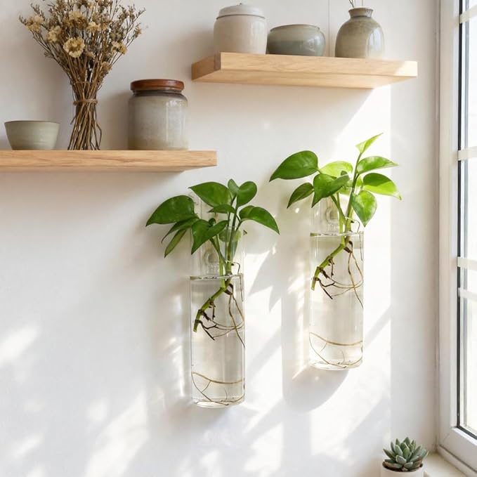 Wall Planters for Indoor Plants, 2 Pack Glass Wall Planters for Propagation, Hanging Terrarium Planters with Hooks for Hydroponic Plants, Flowers, Home Office Bathroom Decor