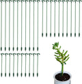 Pack of 30 Small Plant Stakes for Indoor Plants 3 Size 6.7/10.7/14.6/ Inches Single Stem Plant Support Stakes for Phalaenopsis/Orchid Flower/Roses/Chrysanthemum/Succulent