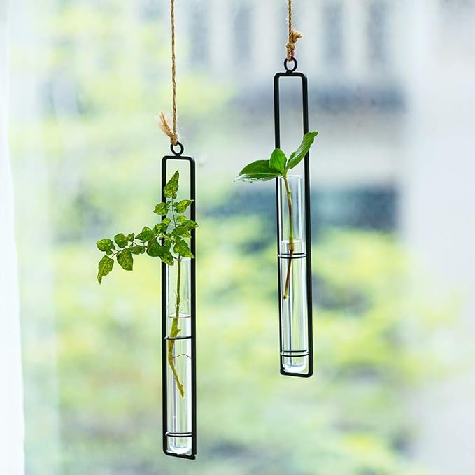Sziqiqi Hanging Clear Glass Propagation Tube Vase for Cuttings, Hydroponic Plant Propagation Home Balcony Floral Container Wall Decoration Black 2ps (L+L)
