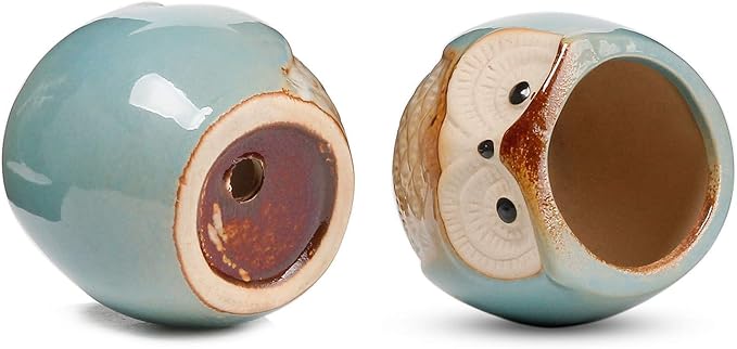 T4U 2.5 Inch Owl Ceramic Succulent Planter Pots with Bamboo Tray Set of 6, Flowing Glaze Porcelain Handicraft Plant Holder Container Gift for Mom Sister Aunt Best for Home Office Garden Decoration