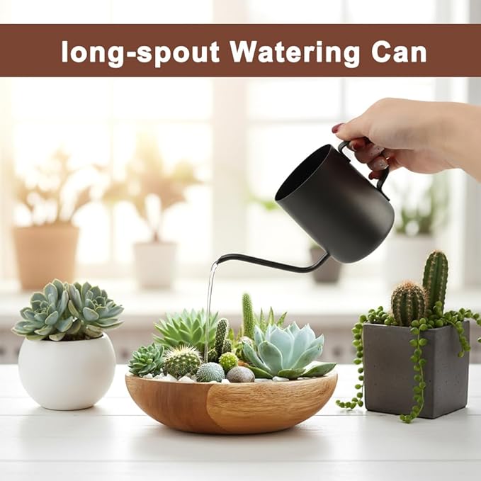 Watering Can for Indoor Plants, 12 oz / 350 ml Mini Plant Waterer, Stainless Steel Watering Can with Long Spout for House Plants, Succulents and Garden Decorative, Gentle Flow & No Spills