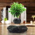 Floating Flower Pot - Magnetic Suspension Levitating Air Flower Pots - Creative Design Levitation Bonsai - Home Office Decorations - Fun Gift,Black
