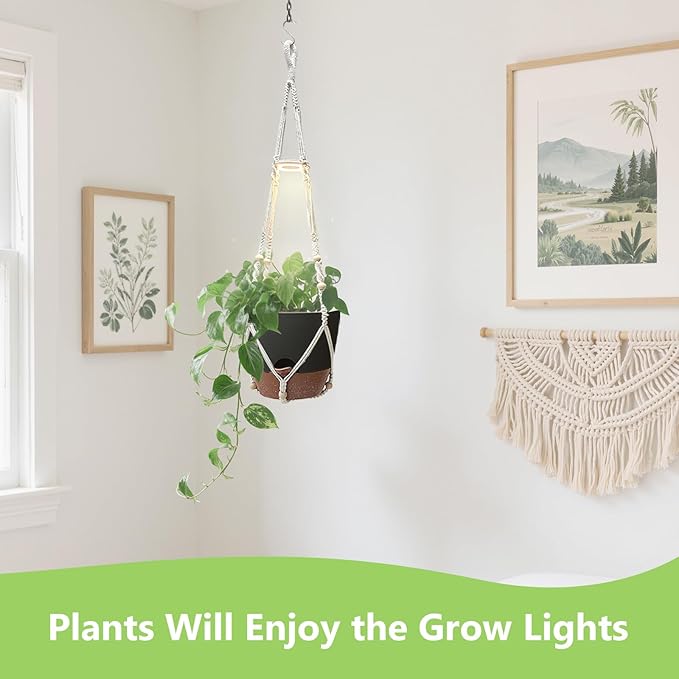 Hanging Planters for Indoor Plants: 2 Pack Macrame Plant Hangers with Grow Lights and Self-Watering Pots, Large Hanging Pots with Drainage Holes & Removable Tray（10in Black Pot, Daylight Spectrum）