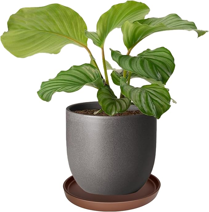 Yukfona Ceramic Plant Saucer Pot Tray 12 Inch, Planter Saucers 4 5 6 7 8 9 10 11 12 13 Inch for Indoors Outdoor, Durable Sturdy Flower Drainage drip Water Tray for Glazed Pots Base (12.7 Inch-Brown)