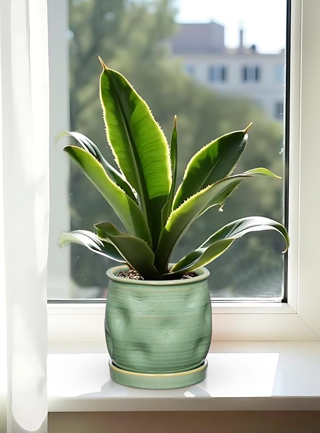 5.7 inch Ceramic Pots for Plants, Plant Pot with Drainage Hole and Saucer Sage Green Ceramic Indoor Planter with Tray Decorative Flower Pots for Succulent, Cactus, Snake Plant, Herb Indoor Outdoor