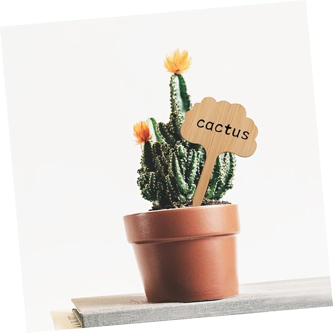 Kisangel 60pcs Indoor Plant Labels Thicken Bamboo Miniature Decor Sign for Succulent Plants Tags