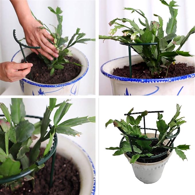 Belit 8 Pack Plant Supports for Small Plants, Garden Flowers Green Plant Support Ring, Planter Support Ring for Schlumbergera, Clivia, Succulents, 5.5" Wide x 5.9" High