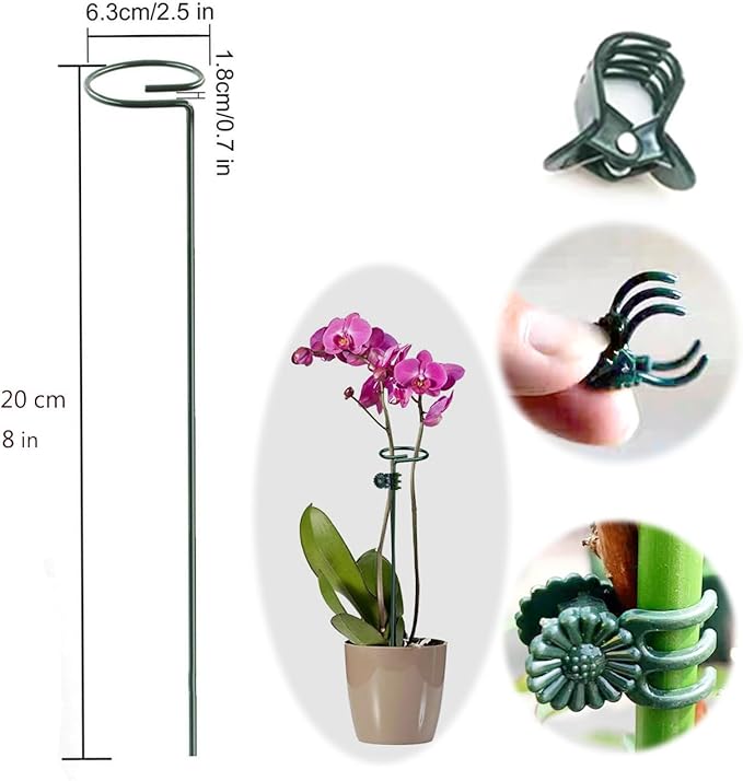 SUNYAY 10 pcs 8 inch Metal Single Stem Flower Plant Support Stakes and Rings for Amaryllis Orchid Lily Sunflower Rose Narcissus