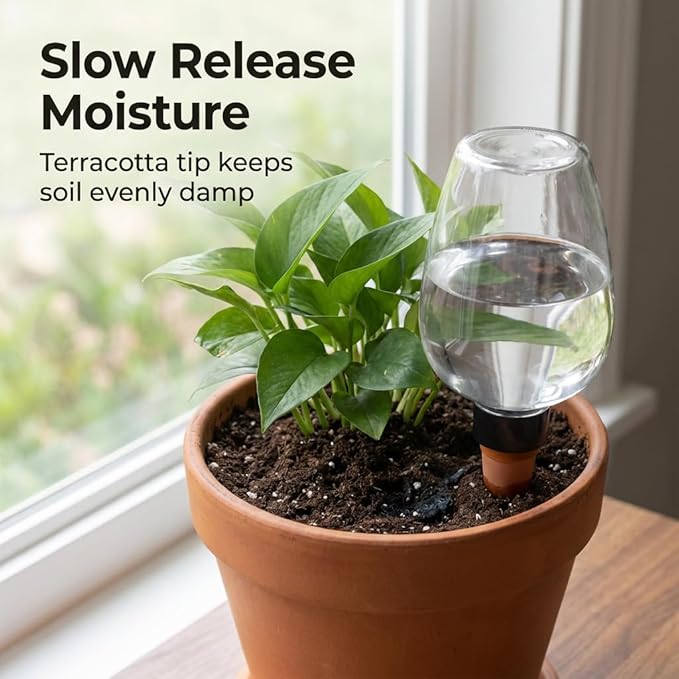 3 pcs Self Watering Globes for Indoor Plants - Top-Fill 11.8oz Clear Plant Watering Devices for Vacation, Plastic Watering Bulbs with Terracotta Spikes
