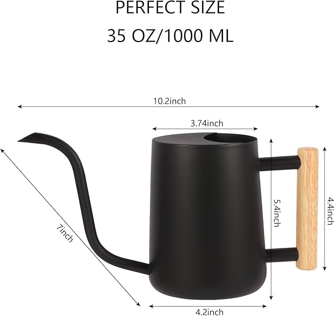 GUKJOB Plant Watering Can,35oz Metal Watering Can,Stainless Steel Indoor Plants with Long Curved Spout,Small Bonsai Outdoor Garden Modern Decorative(Black)