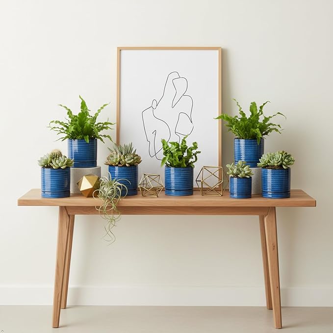 HASENSE Ceramic Indoor Plant Pots, 4.6 Inch Small Flower Planters with Drainage Hole and Saucer, Vintage Reactive Glaze Blue Pots for Succulents, Cactus, Herbs, Home Decor, Set of 4