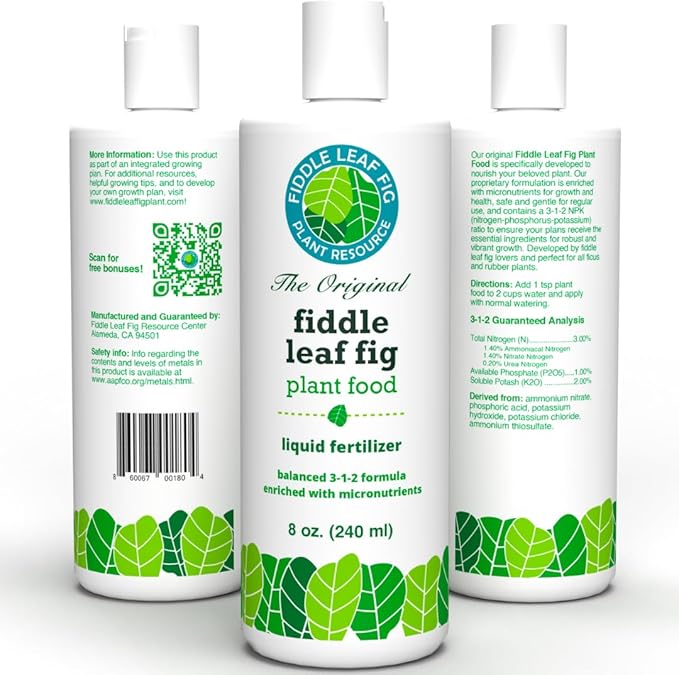Fiddle Leaf Fig Notching Bundle
