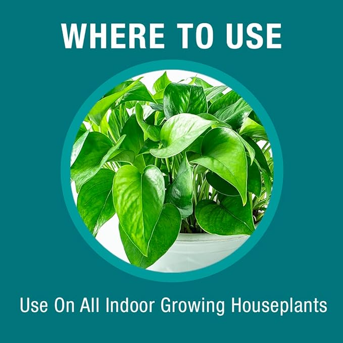 Baby Bio Houseplant Food, Concentrate, 5.9 Oz (3-Pack)