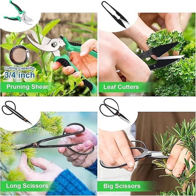 Bonsai Tools Kit - Bonsai Tree Tools Set with 24 Accessories, Bonsai Wire, Pruning and Trimming Tools for Beginners and Adults, Complete Bonsai Care and Starter Kit
