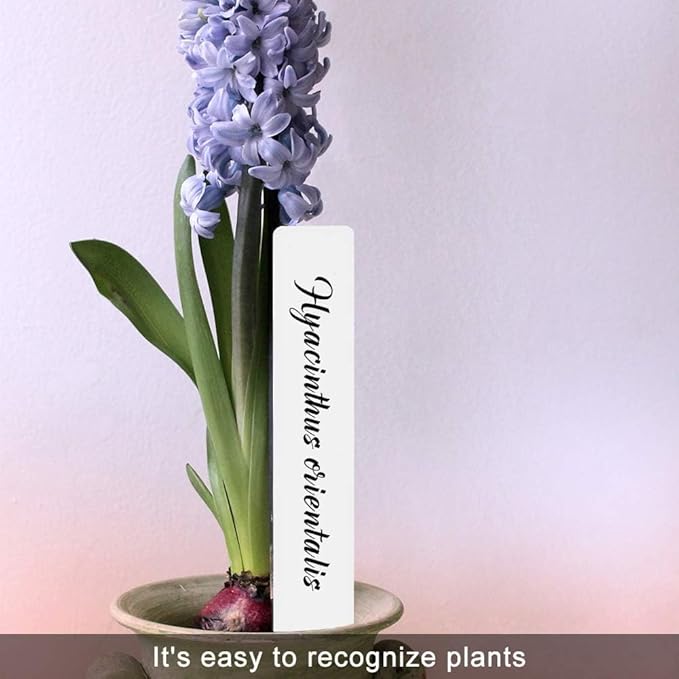 SumDirect Plastic Waterproof Plant Tags, Double Sided Write Markers Nursery Garden Labels Nursery Garden Pot Marker Tree Stake Tags (6 Inch-500)