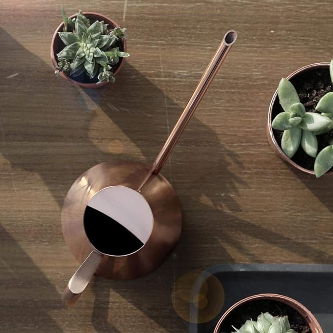 Household Bonsai Stainless Steel Watering Can, Mini Brushed Indoor House Plants Long Spout Watering Can Modern Watering Pot, Rose Gold(S)